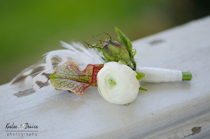 Kaelee Denise Photography