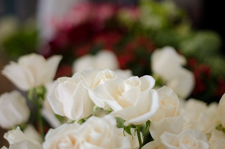 Kaelee Denise Photography