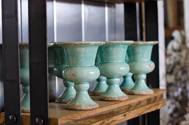 Kaelee Denise Photography