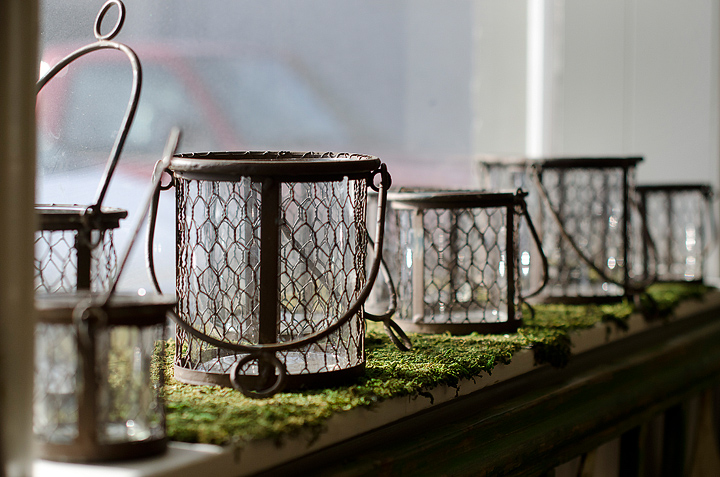 Kaelee Denise Photography