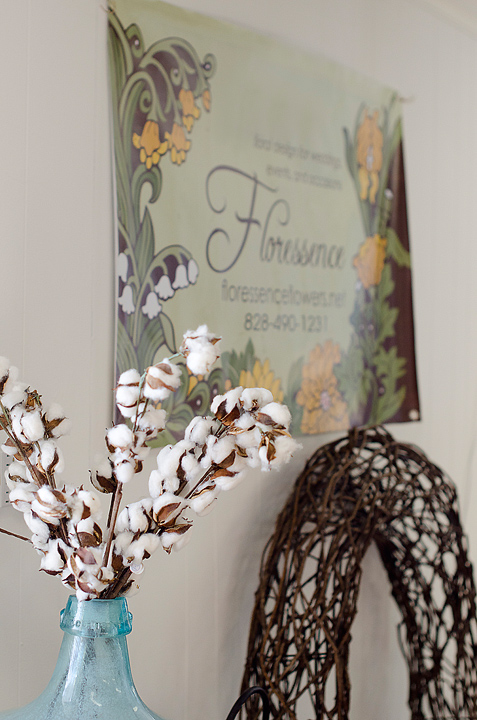 Kaelee Denise Photography