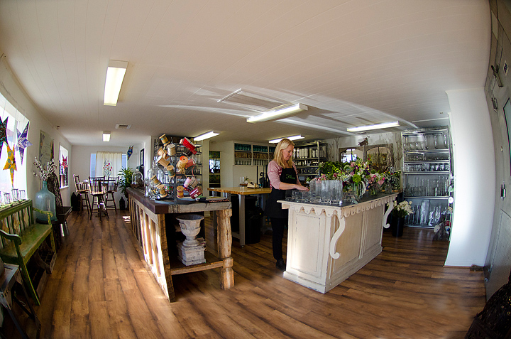 Kaelee Denise Photography