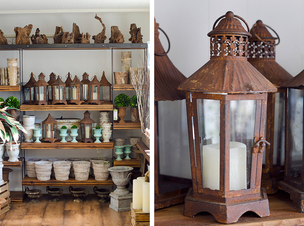 Kaelee Denise Photography