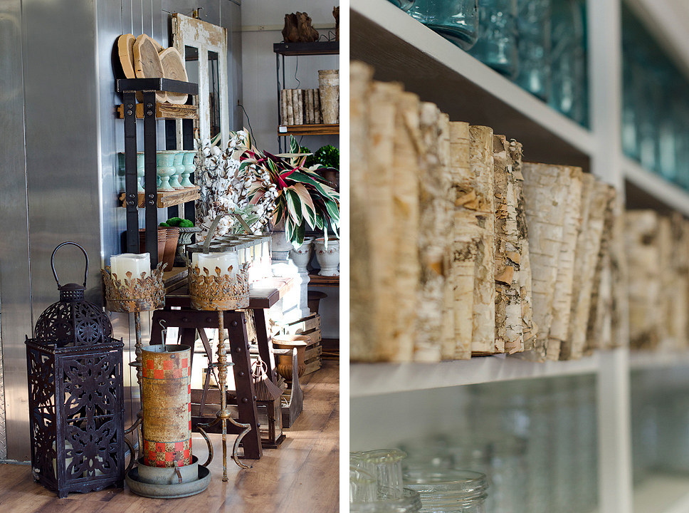 Kaelee Denise Photography