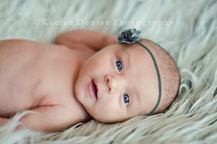 Kaelee Denise Photography