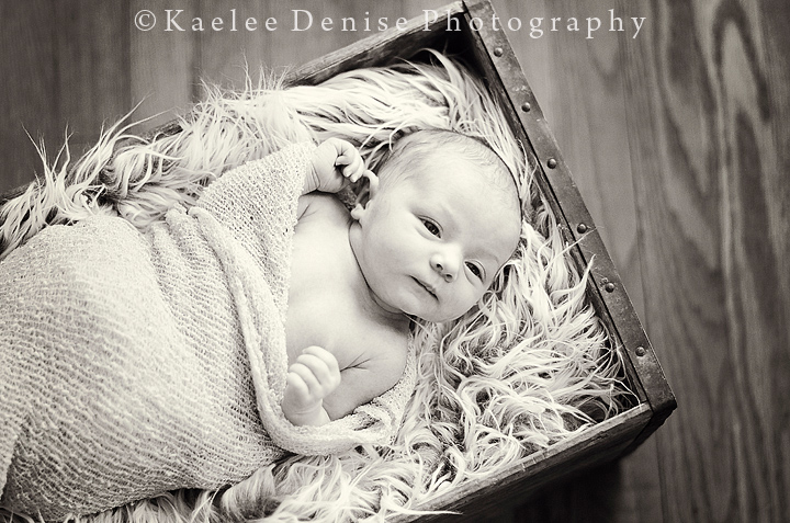 Kaelee Denise Photography