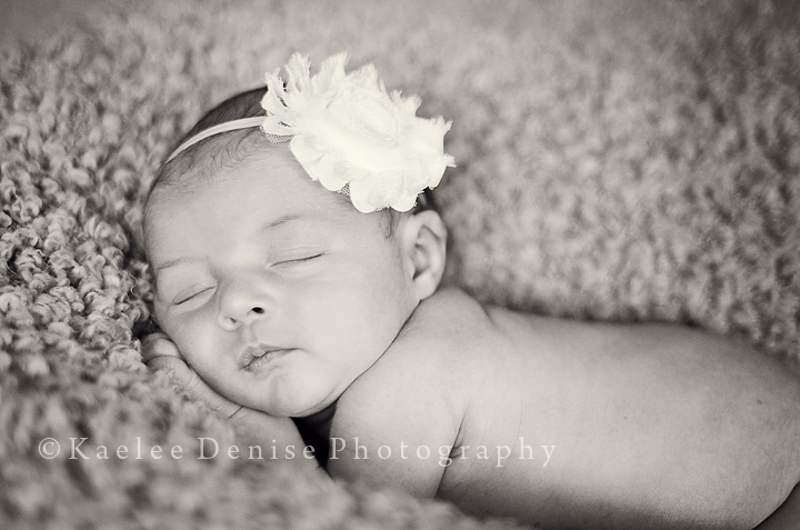 Kaelee Denise Photography