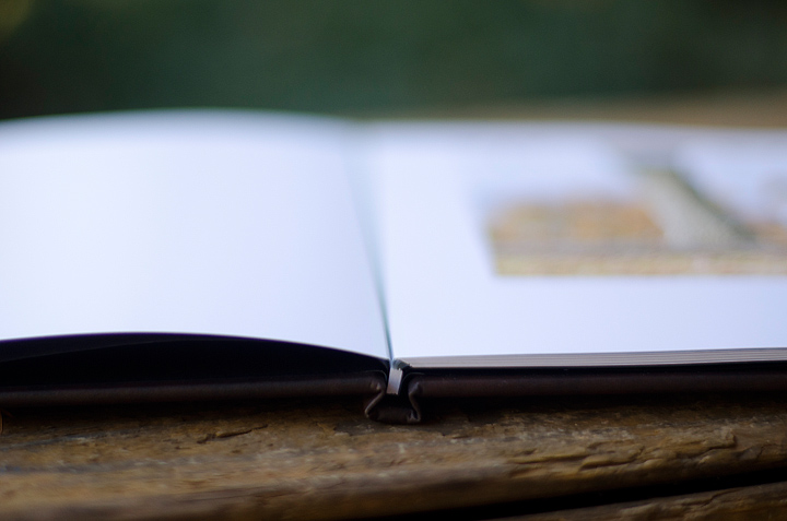 Kaelee Denise Photography