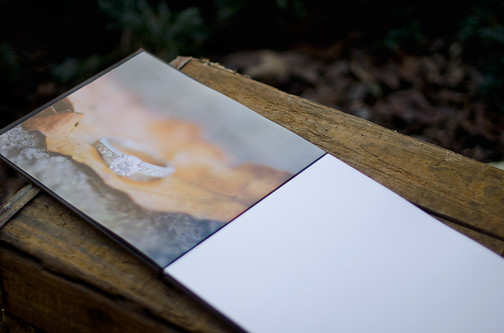 Kaelee Denise Photography