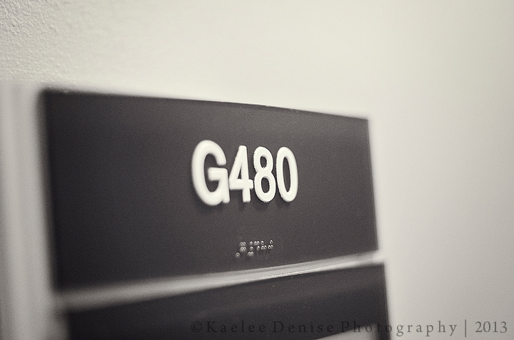 Kaelee Denise Photography