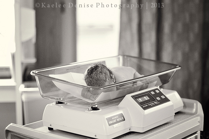 Kaelee Denise Photography