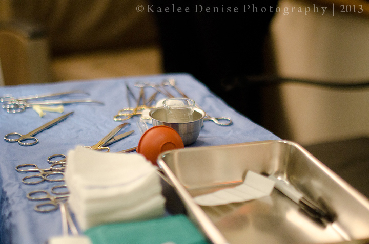 Kaelee Denise Photography