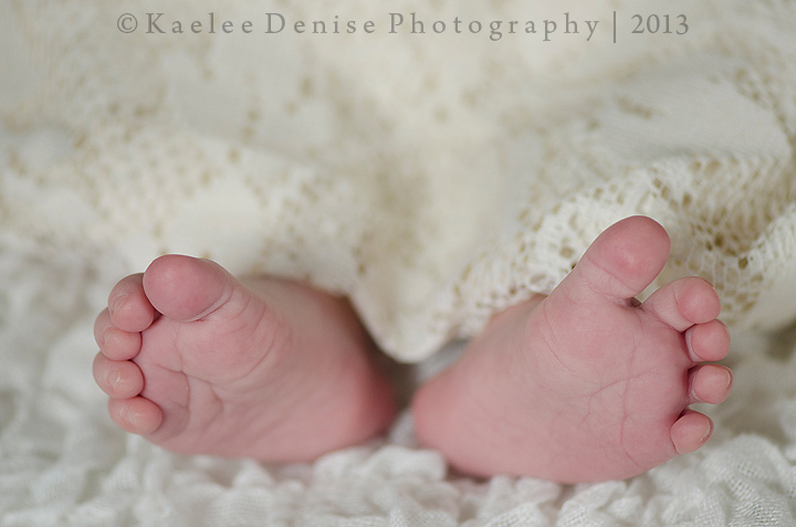 Kaelee Denise Photography