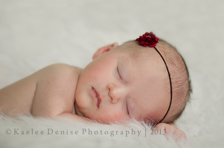 Kaelee Denise Photography