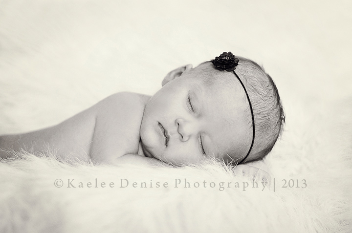 Kaelee Denise Photography