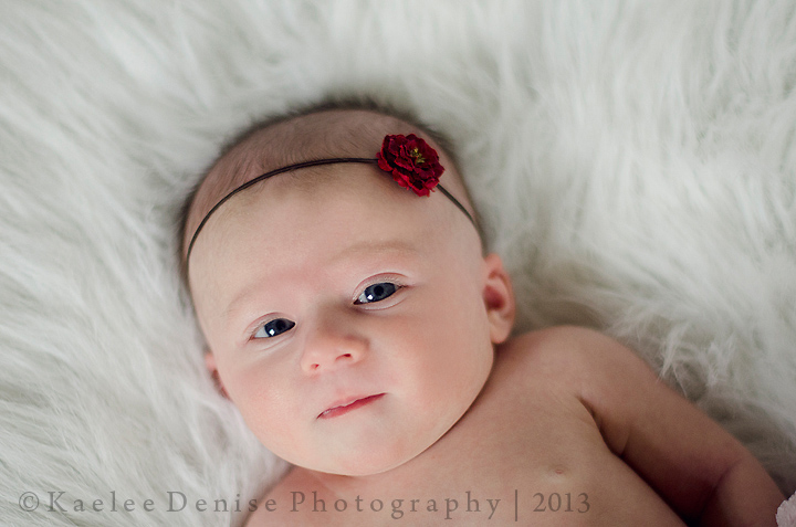 Kaelee Denise Photography