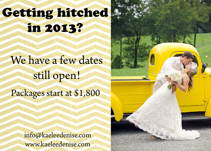 Kaelee Denise Photography