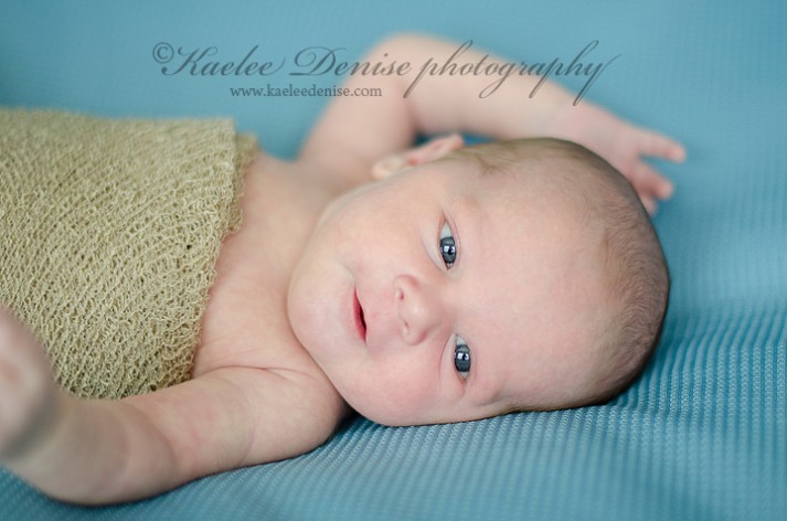 Asheville Newborn Portrait Photographer
