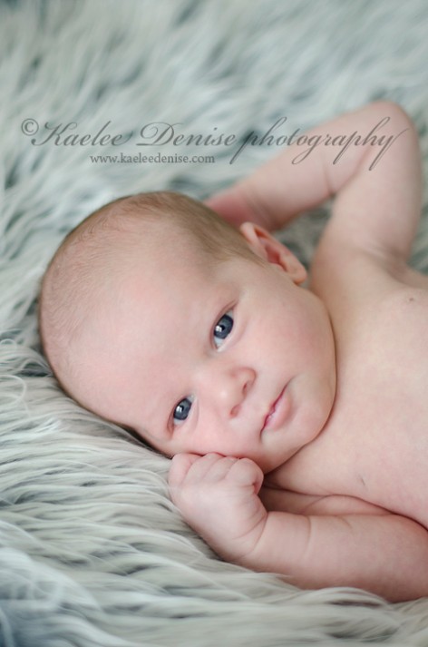 Asheville Newborn Portrait Photographer