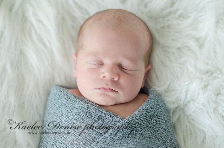 Asheville Newborn Portrait Photographer
