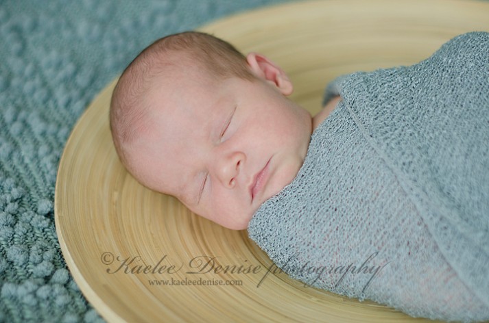 Asheville Newborn Portrait Photographer