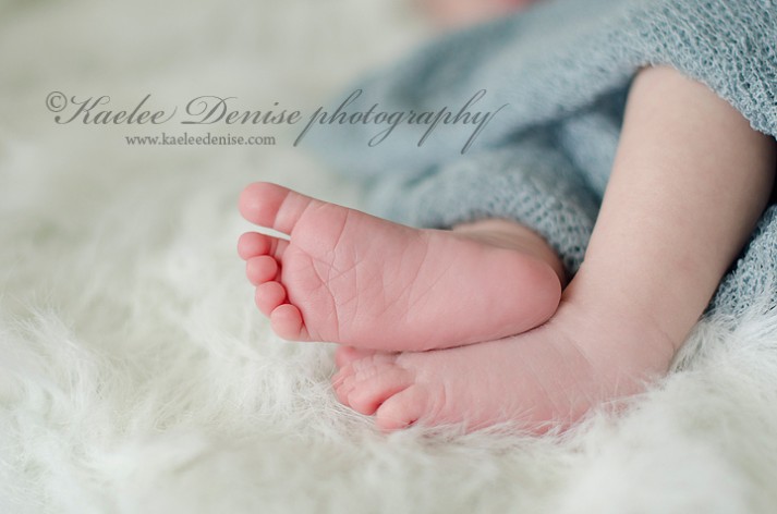 Asheville Newborn Portrait Photographer