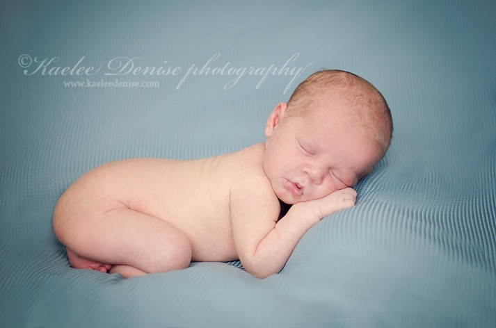 Asheville Newborn Portrait Photographer