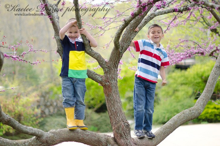 Asheville Child and Family Portrait Photographer
