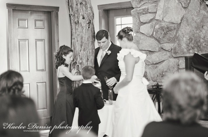 Lake Lure Wedding Photographer