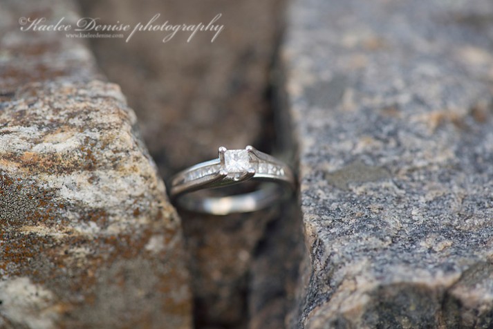 WNC Engagement Portraits 