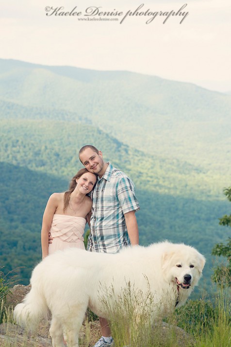WNC Engagement Portraits 