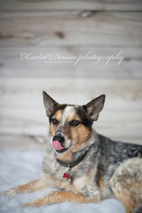 Hendersonville portrait photographer