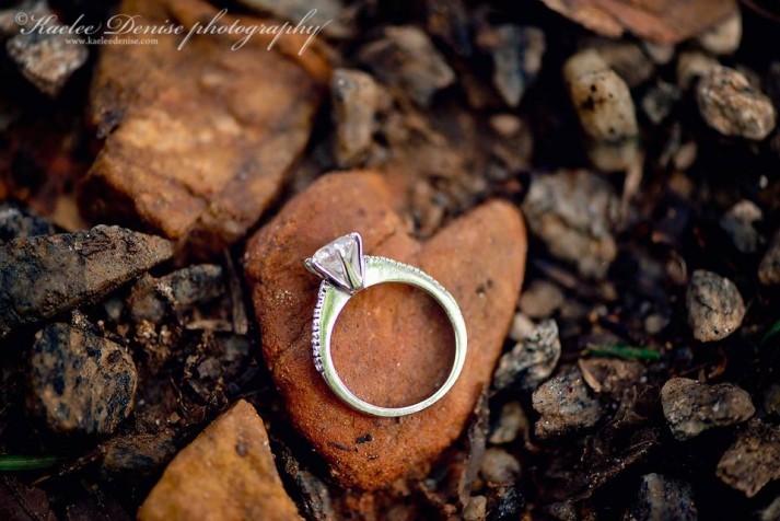 Brevard Wedding Photographer