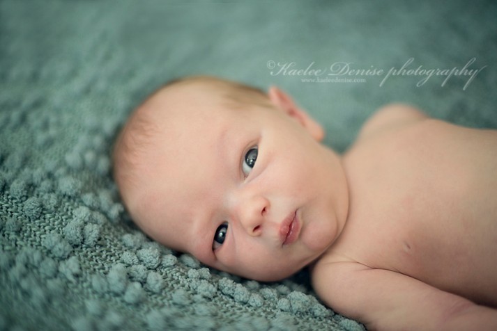 Asheville Newborn Portrait Photographer