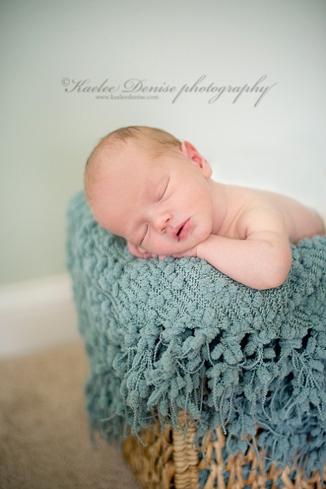 Brevard Newborn Portrait Photographer