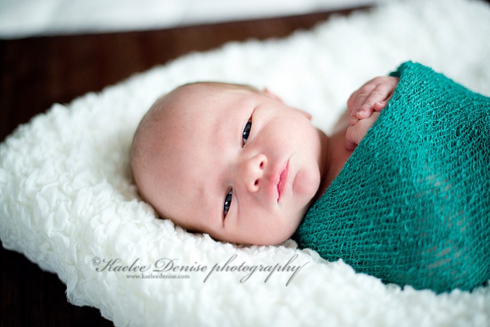 Asheville Newborn Portrait Photographer