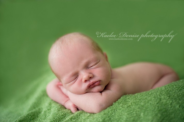 Brevard Newborn Portrait Photographer