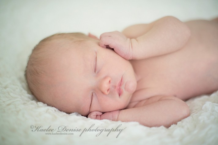 Brevard Newborn Portrait Photographer