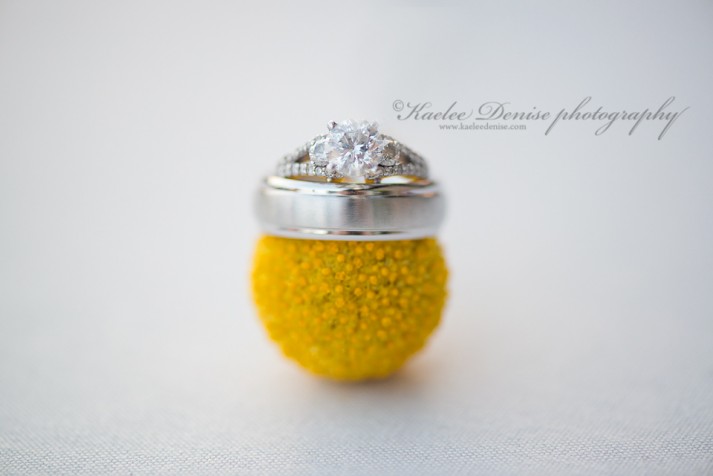 Brevard Wedding Photographer