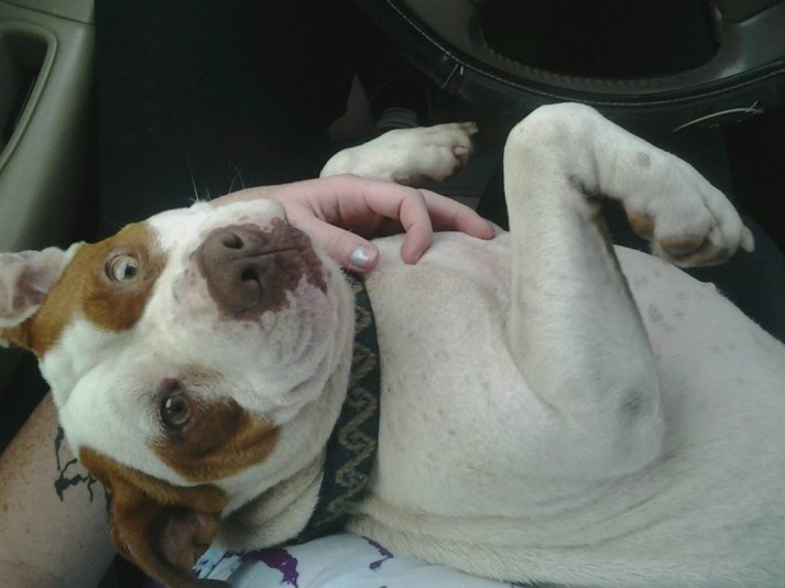 944738_10202398914599308_89240293_n