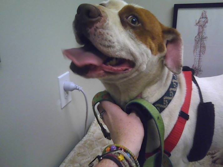 946726_10202338297283913_2022703144_n