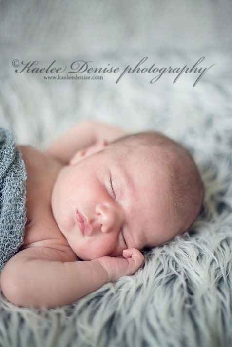 Brevard Newborn Portrait Photographer