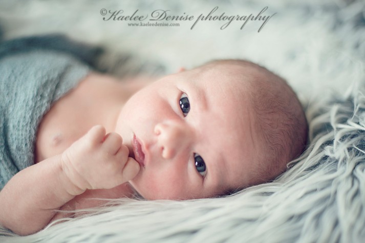 Brevard Newborn Portrait Photographer