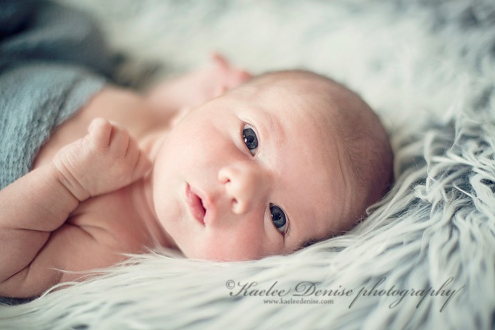 Brevard Newborn Portrait Photographer
