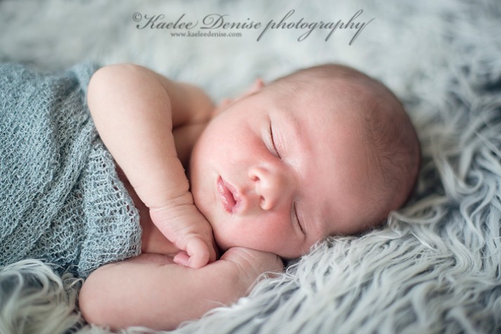 Brevard Newborn Portrait Photographer