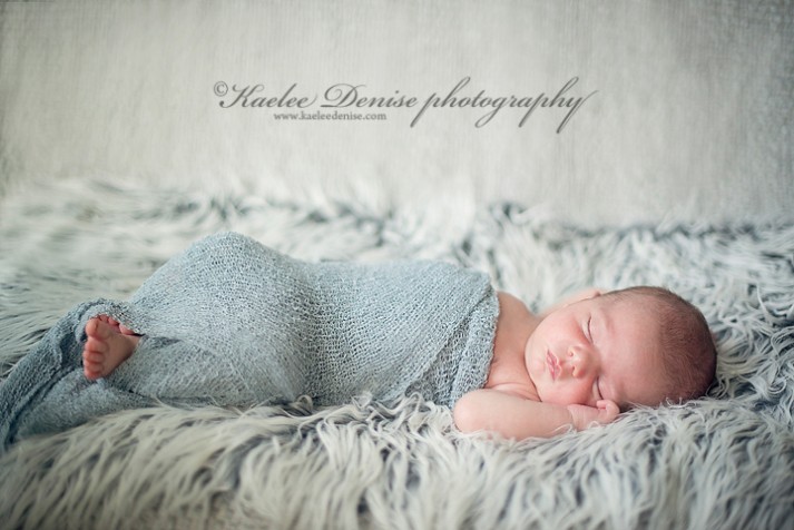 Brevard Newborn Portrait Photographer