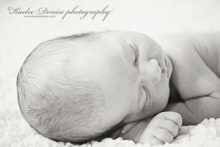 Brevard Newborn Portrait Photographer