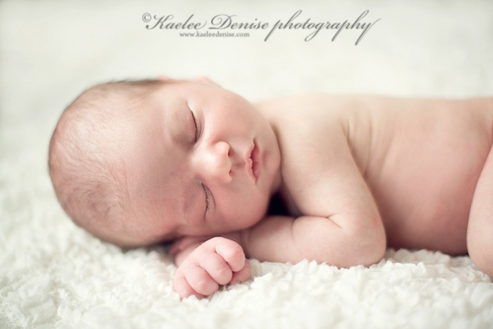Brevard Newborn Portrait Photographer