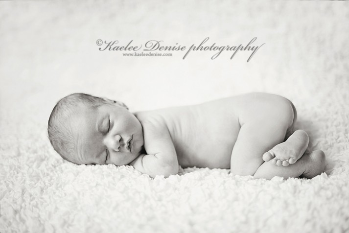Brevard Newborn Portrait Photographer