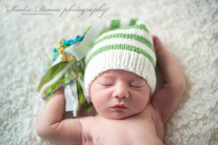 Brevard Newborn Portrait Photographer